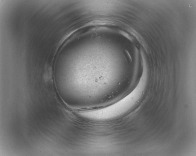 X0000071801465200607072039