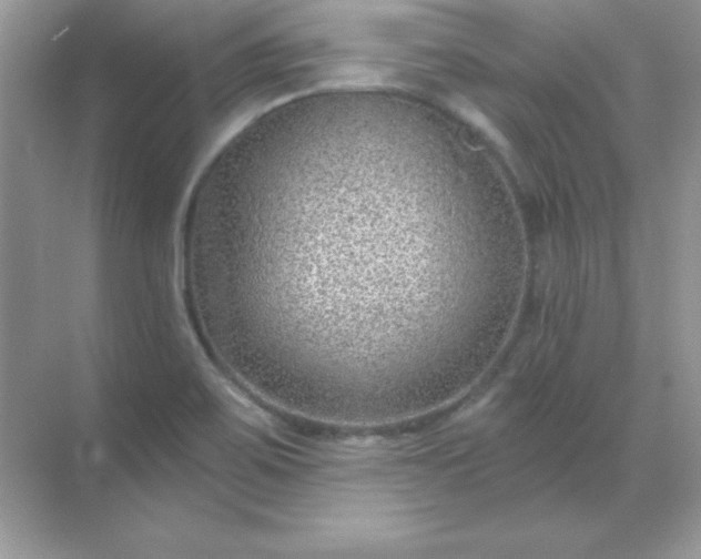 X0000071801467200607072039