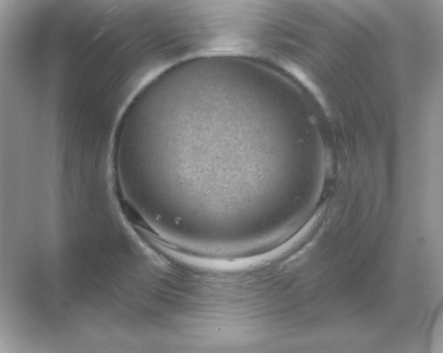 X0000071801469200607072039