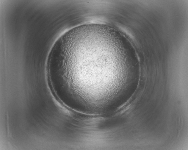 X0000071801471200607072039