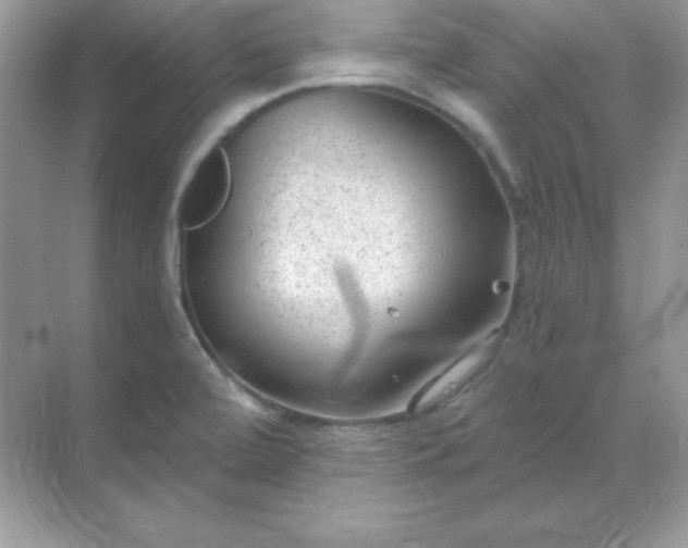 X0000071801472200607072039