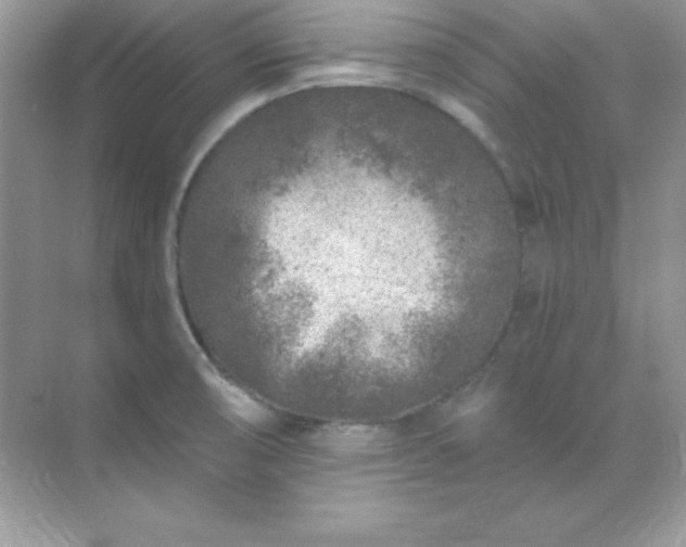 X0000071801474200607072039