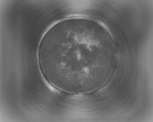 X0000071801482200607072039