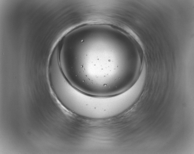 X0000071801485200607072039