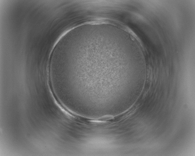 X0000071801487200607072039