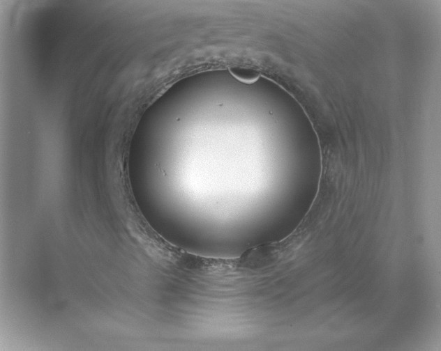 X0000071801489200607072038