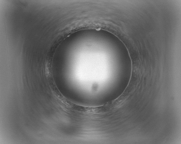 X0000071801490200607072038