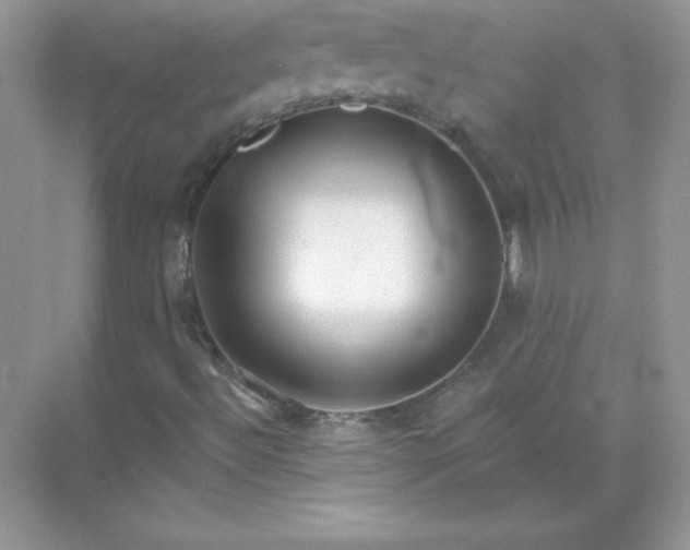 X0000071801492200607072038