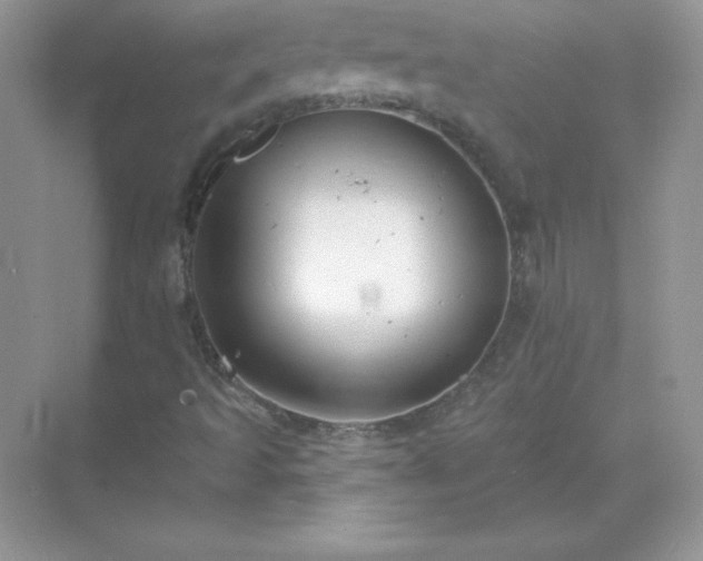 X0000071801493200607072038