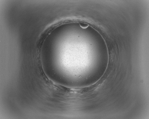 X0000071801494200607072038