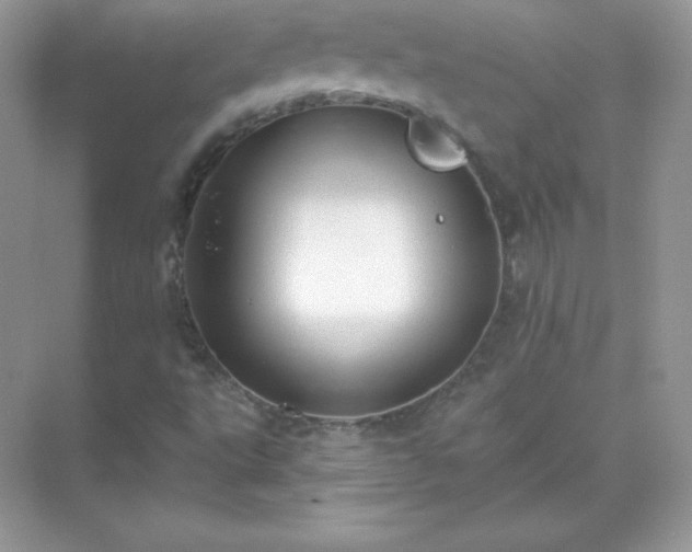 X0000071801495200607072038