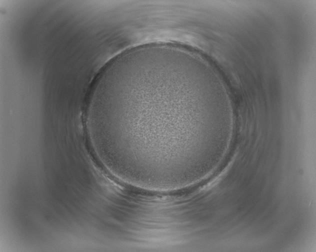 X0000071801497200607072038