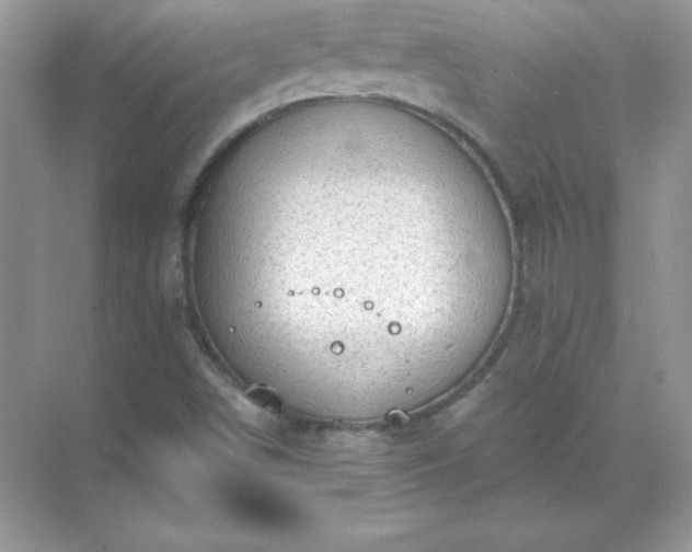 X0000071801498200607072038