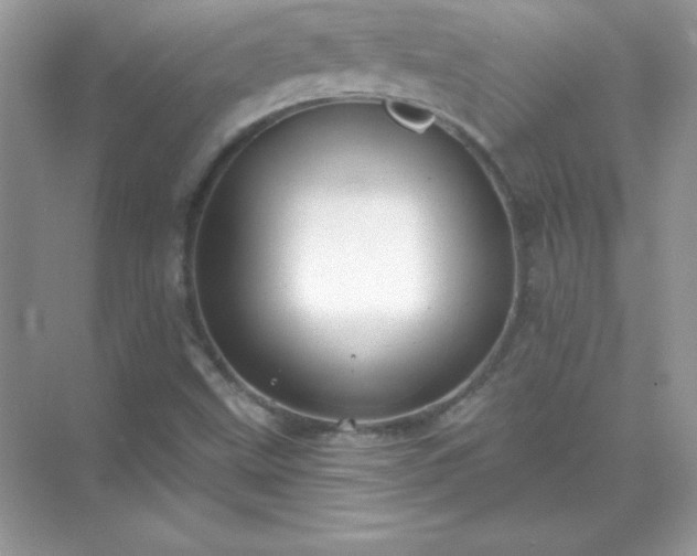 X0000071801499200607072038