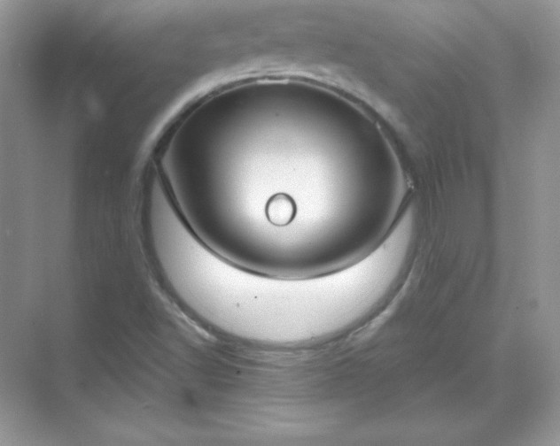 X0000071801502200607072038