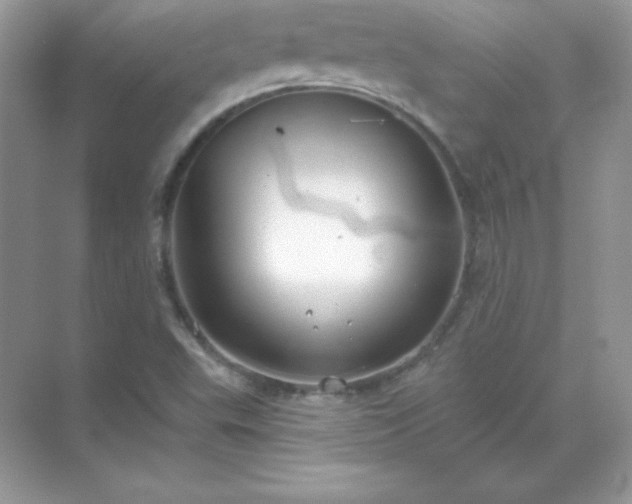 X0000071801503200607072038