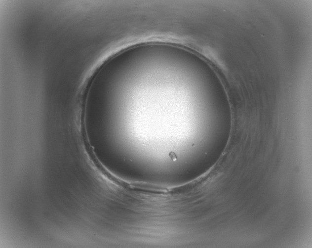 X0000071801504200607072038