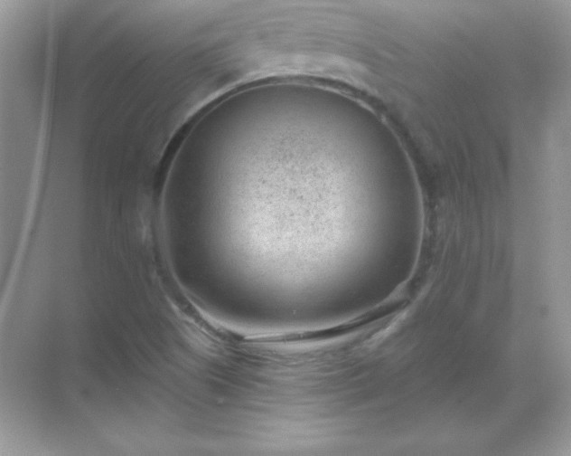 X0000071801505200607072038