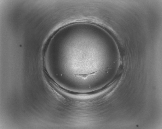 X0000071801506200607072038