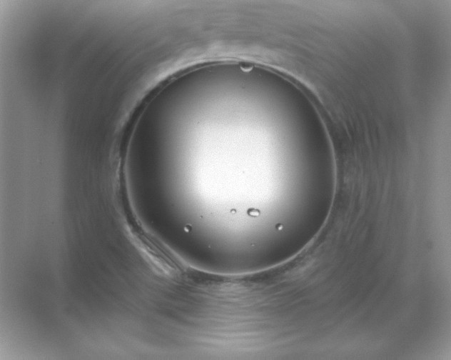 X0000071801507200607072038