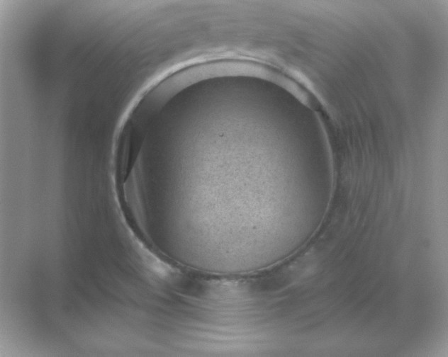 X0000071801508200607072038