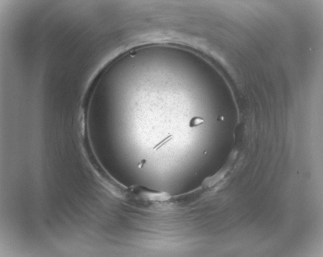 X0000071801509200607072038