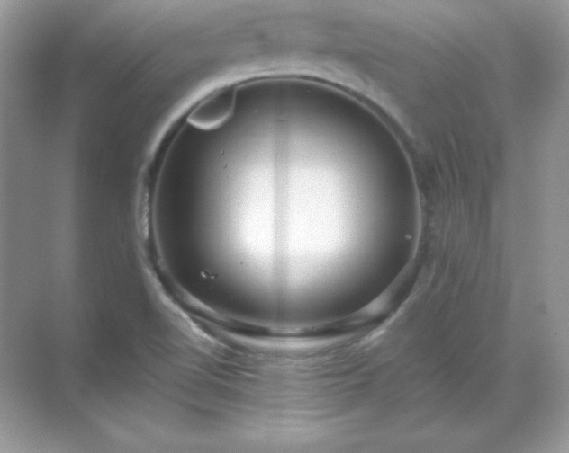 X0000071801510200607072038