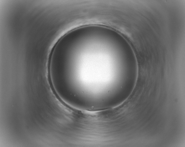 X0000071801512200607072038