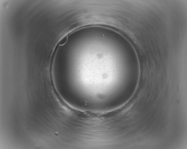 X0000071801513200607072038