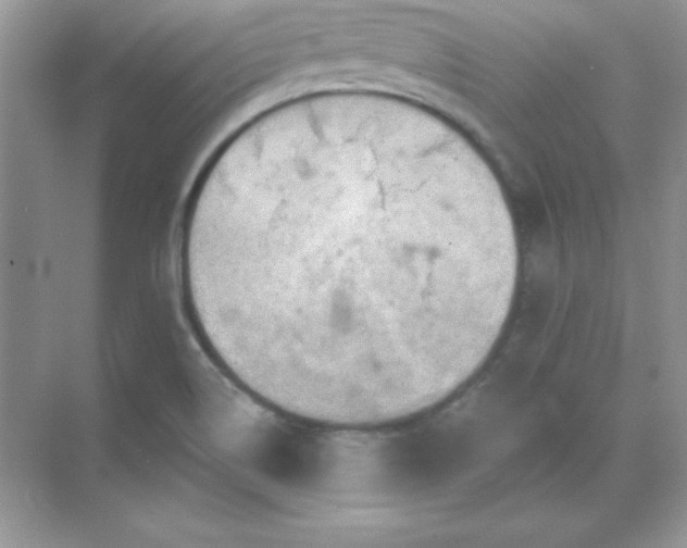 X0000071801514200607072038