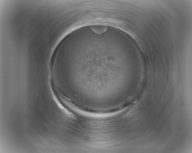 X0000071801515200607072038