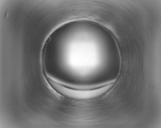 X0000071801516200607072038