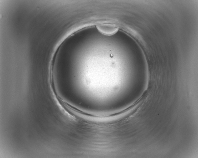 X0000071801520200607072038