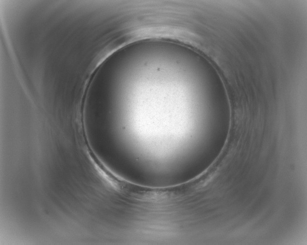 X0000071801521200607072038