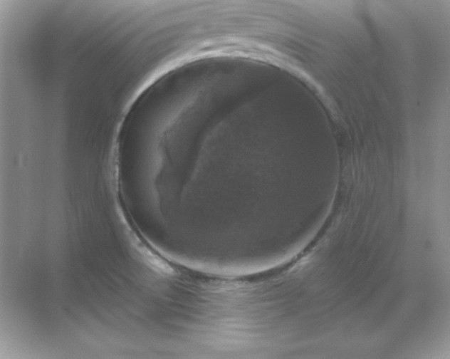 X0000071801522200607072038