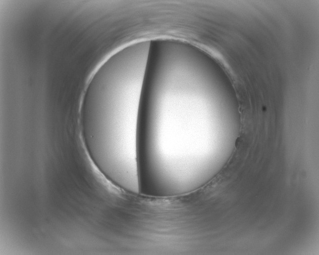 X0000071801524200607072038