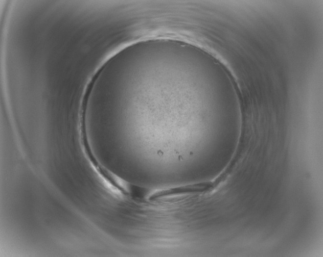 X0000071801525200607072038