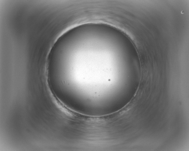 X0000071801526200607072038