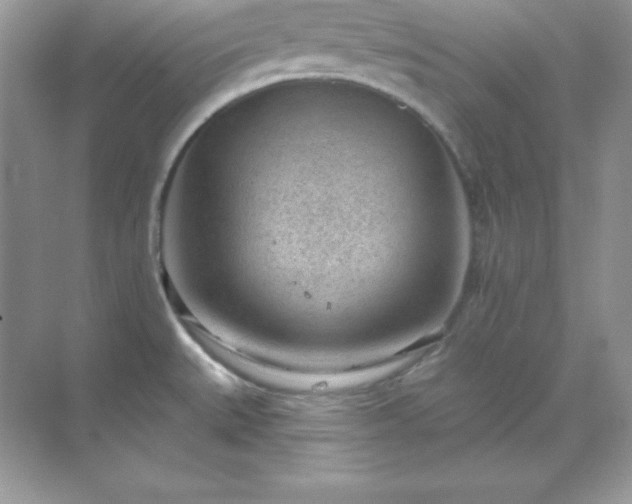 X0000071801527200607072038