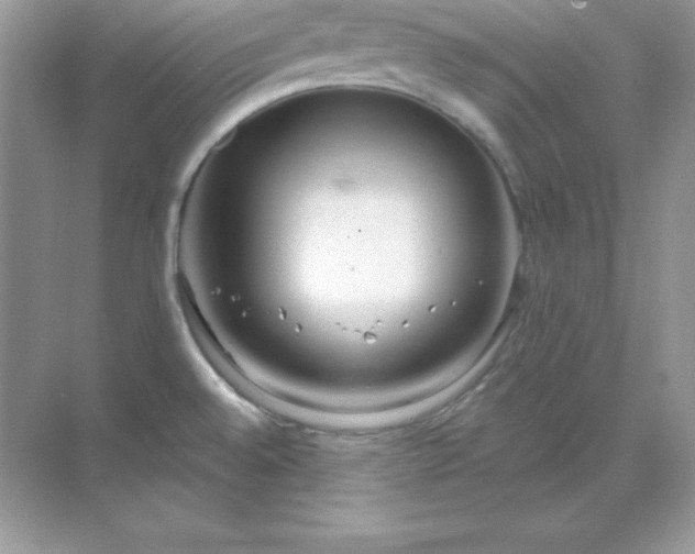 X0000071801528200607072038