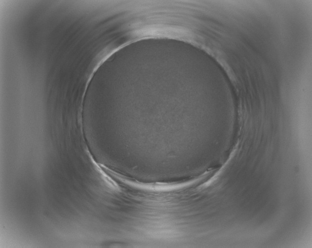 X0000071801529200607072038