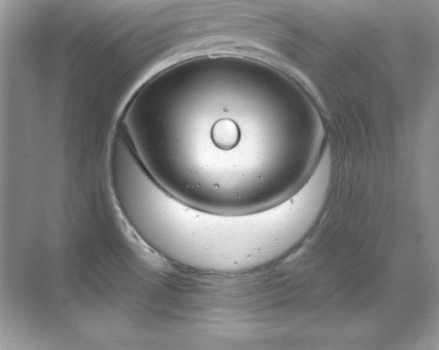 X0000071801530200607072038