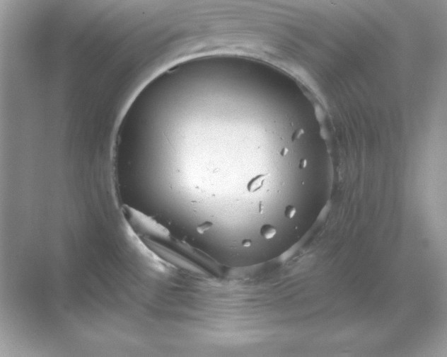 X0000071801532200607072038