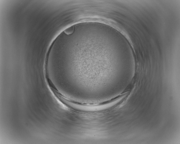 X0000071801533200607072038