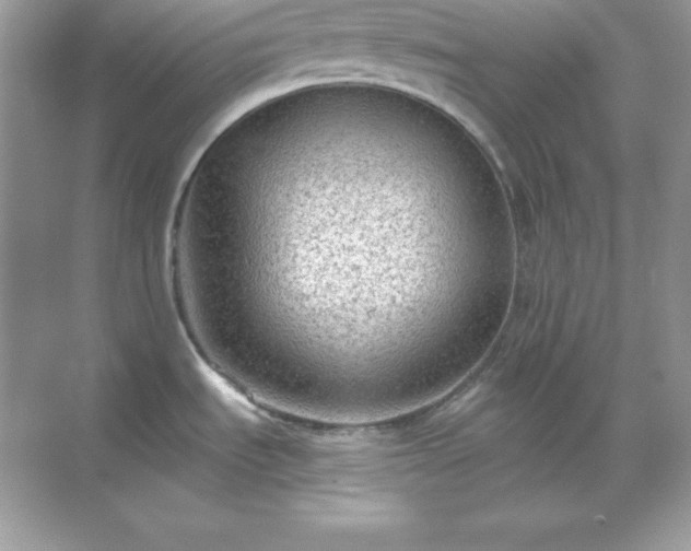 X0000071801535200607072038