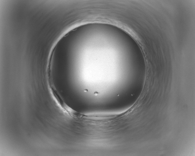 X0000071801536200607072038