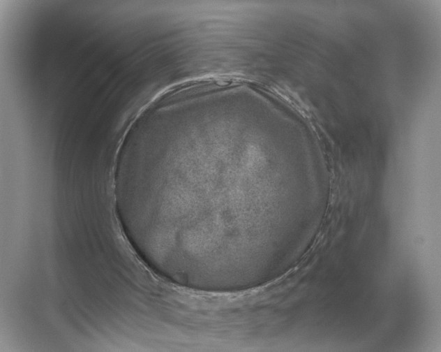 X0000071800002200607150158