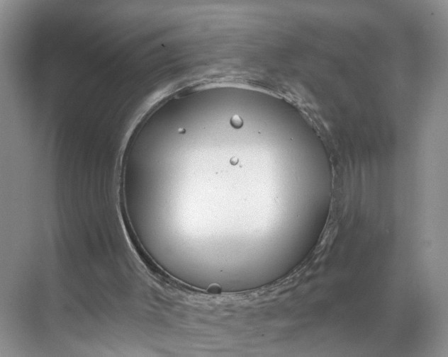 X0000071800003200607150158