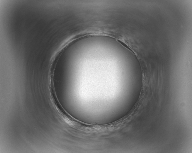 X0000071800005200607150158