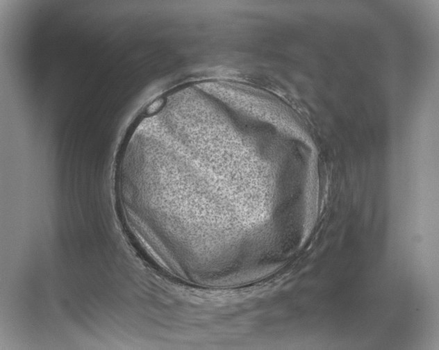 X0000071800006200607150158